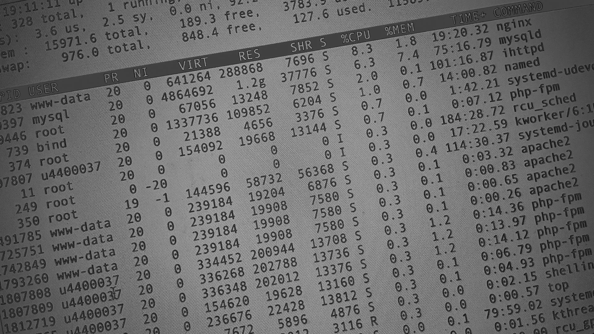 Настройка сервера в Нововоронеже Настройка сервера в Нововоронеже