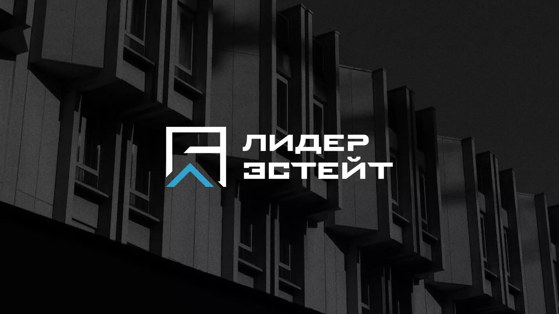 Разработка логотипа агентства недвижимости «Лидер Эстейт» в Нововоронеже